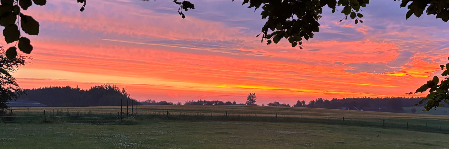 Lokalrådet_1500x500