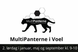 Multipanterne_800x533